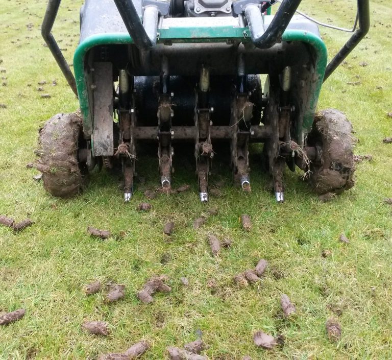 lawn aeration service
