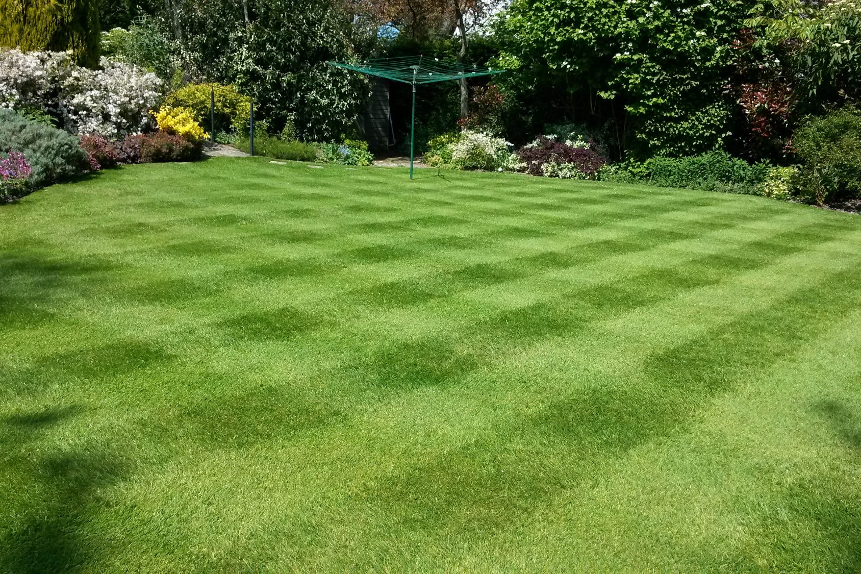 Lawn Treatments