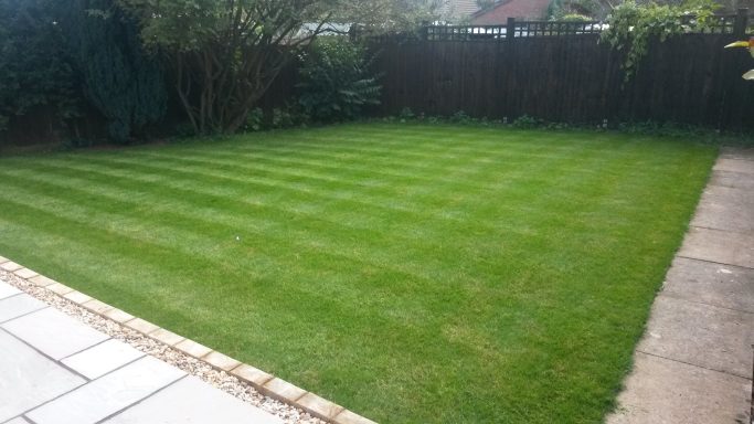 Lawn care experts